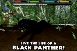 Game screenshot Panther Simulator mod apk