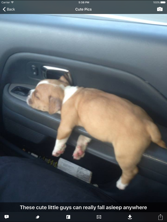 Cute Pics iPad screenshot 4 - Lifestyle app