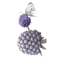 AR Biodiversity