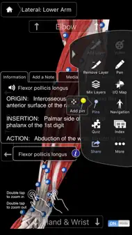 Muscle System Pro III - iPhone iphone bilder 3