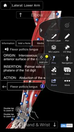 Muscle System Pro III - iPhone iPhone image 4