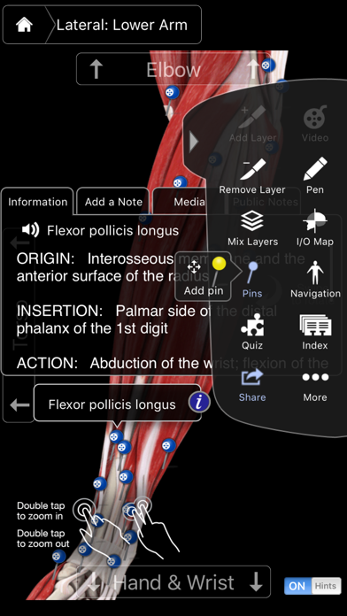 Muscle System Pro III screenshot 4