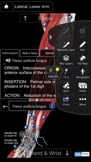 Muscle System Pro III - IPhone iPhone Screenshot 4