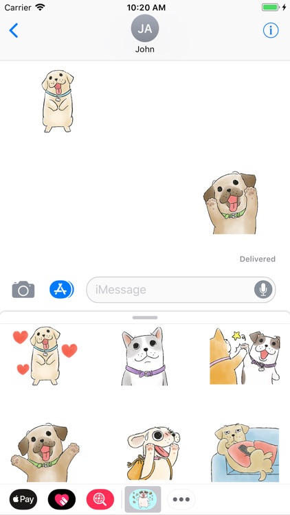 Funny Dog Life Animated