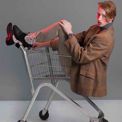 Stonks: поиск брендовой одежды