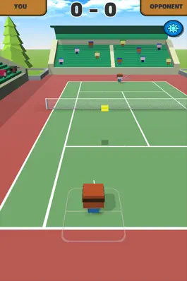 Game screenshot The Crazy Tennis apk