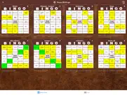 route 66 bingo айпад изображения 1