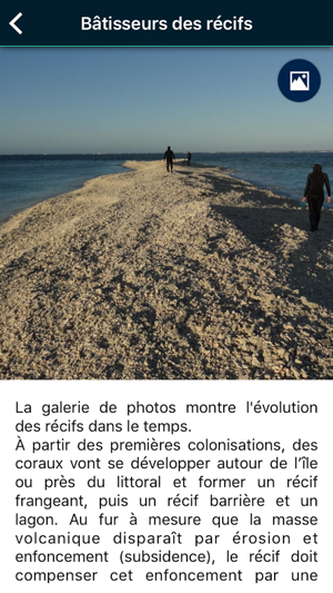Récifs coralliens(圖5)-速報App