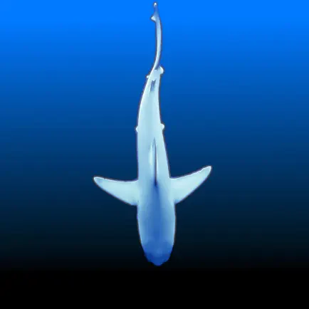 DiveKit Читы