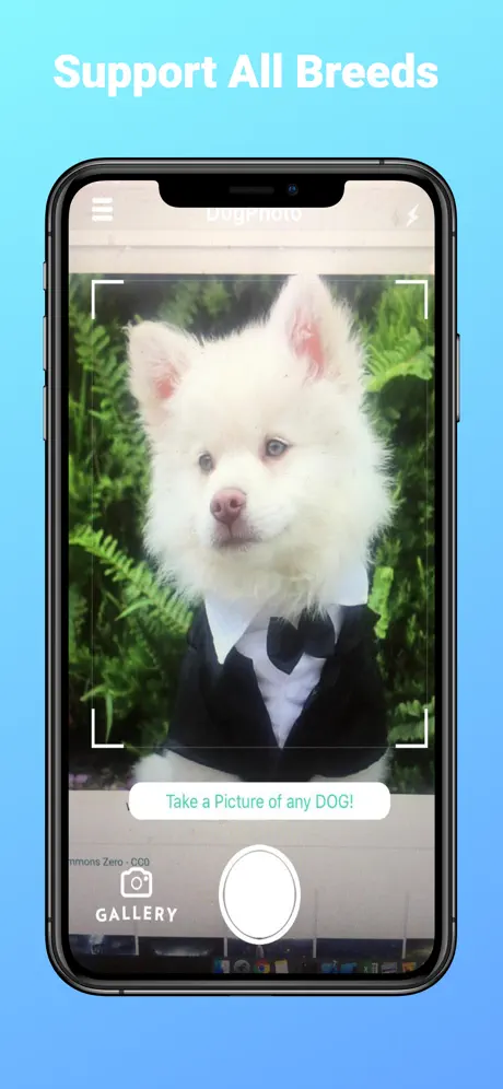 DogPhoto - Dog Breed Scanner