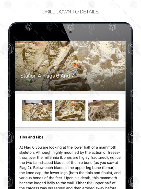 Screenshot #6 pour Mammoth Site Tour