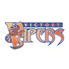 Victory Vipers icon