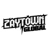 Zaytown Global Music Platform