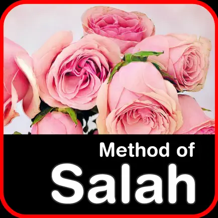 Method of Salah Cheats