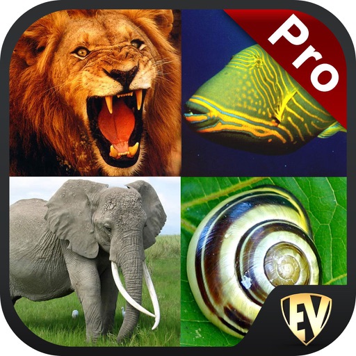 Animals Encyclopedia PRO Guide icon