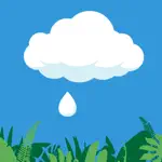 Rain Drop Catcher App Alternatives