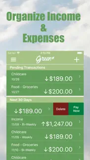 green - budget forecasting iphone images 3