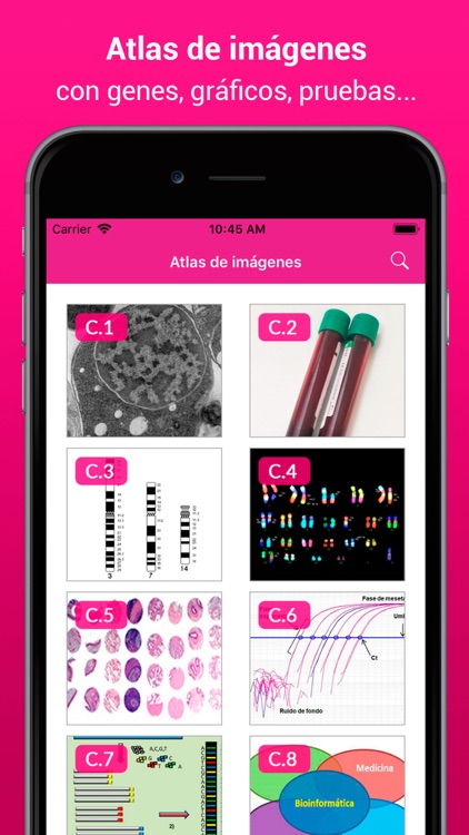 GenHem - Genética Hematológica screenshot-4