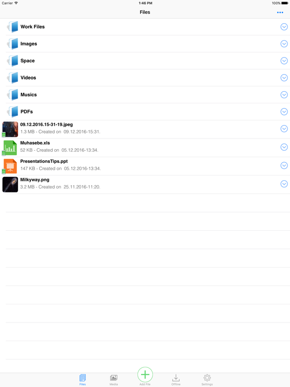 MobiVisor Files ipad screenshot 4