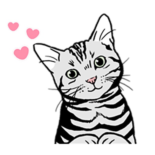 American Shorthair Cat Sticker icon