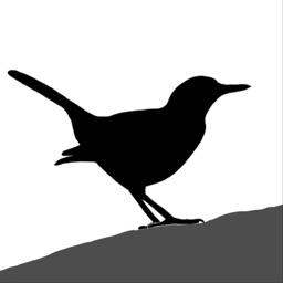 Bird ID Master