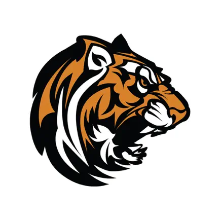 New England Public School Читы