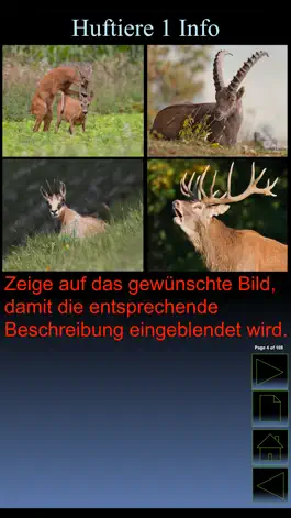 Game screenshot iWildtiere apk