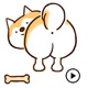 Animated Shiba Inu Dog Sticker app icon - Stickers app for iPhone