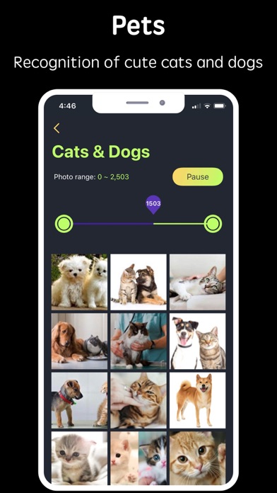 Photos - Smart Photo Assistant Screenshot