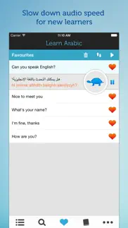 learn arabic travel phrasebook iphone screenshot 3