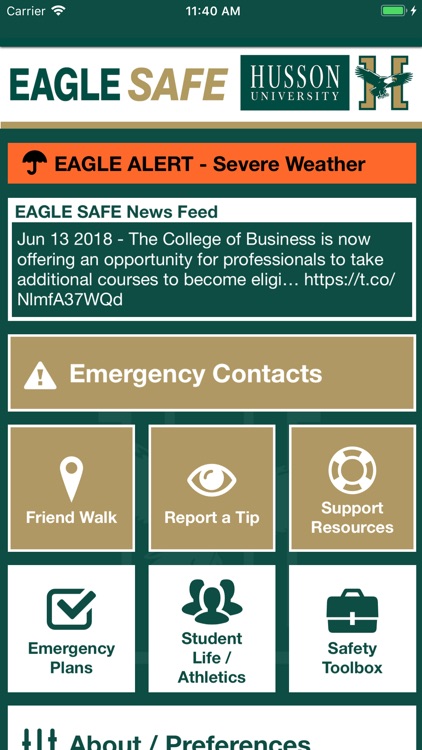 Eagle Safe