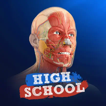 High School Anatomy 21 Читы