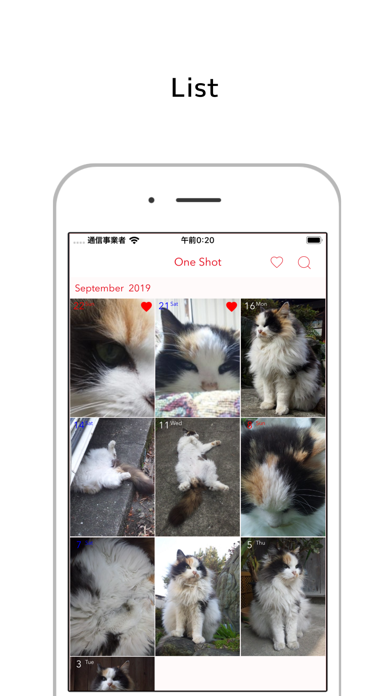 TodayShot Screenshot