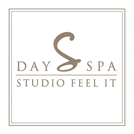 Day Spa Studio Feel It Читы
