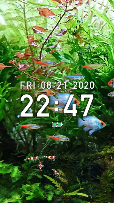 Tropical Fish Tank - Mini Aqua Screenshot