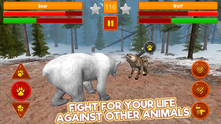 Bear Kung Fu Animal Fighting