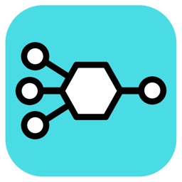Neural Networth