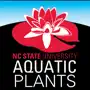 Aquatic Plants