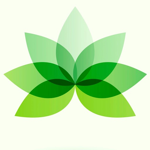 Tâm Chay - Cộng đồng Chay