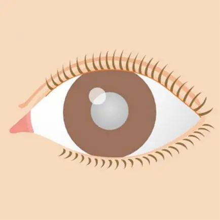 図解「白内障」イラストで見る眼疾患説明シリーズ Читы