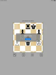 Mini Chess 5x5 ipad bilder 2