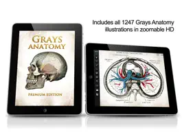 Game screenshot Grays Anatomy Premium for iPad mod apk