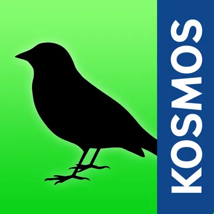 Birds of Europe Guide Cheats