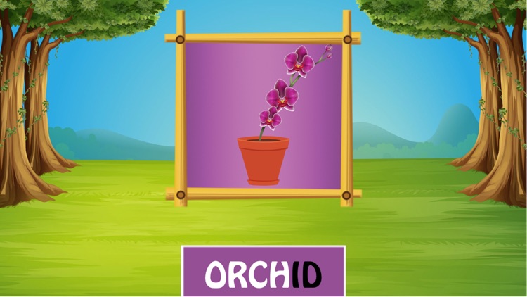 Learn about Flowers screenshot-4