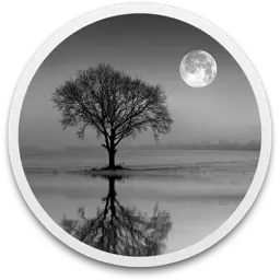 Reflect Studio app icon