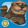 Otter on His Own - Smithsonian icon