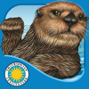 Oceanhouse Media - Otter on His Own - Smithsonian アートワーク