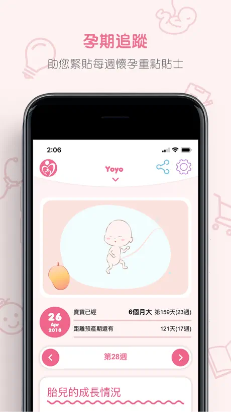 Baby Planner