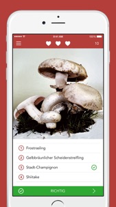 Pilze sammeln und bestimmen screenshot #4 for iPhone