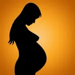 Pregnancy Weight Tracker App Problems